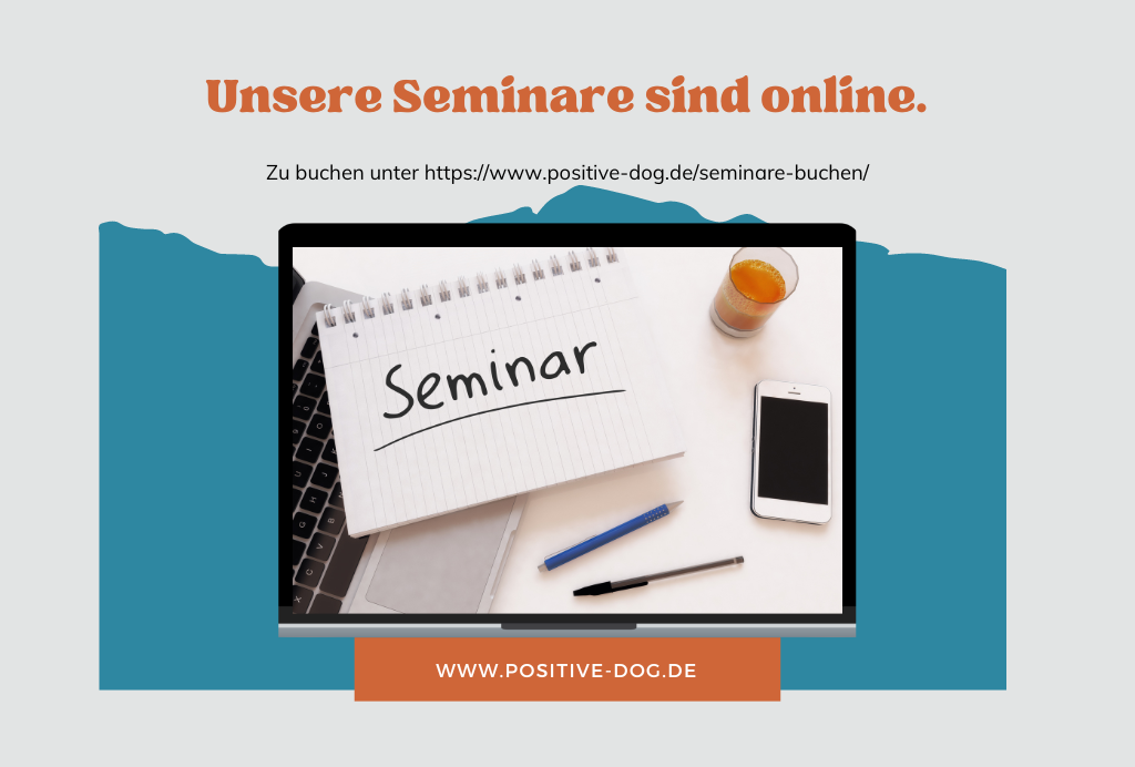 Read more about the article Seminare 2025